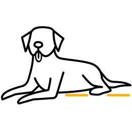 Piktogramm Hund